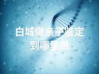 白城做亲子鉴定到哪里做