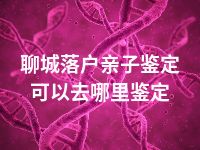聊城落户亲子鉴定可以去哪里鉴定