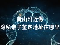 黄山附近做隐私亲子鉴定地址在哪里