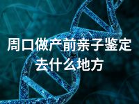 周口做产前亲子鉴定去什么地方