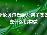 呼伦贝尔做胎儿亲子鉴定去什么机构做