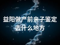 益阳做产前亲子鉴定去什么地方