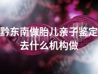 黔东南做胎儿亲子鉴定去什么机构做