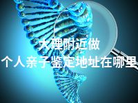 大理附近做个人亲子鉴定地址在哪里