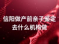 信阳做产前亲子鉴定去什么机构做