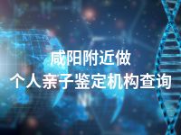 咸阳附近做个人亲子鉴定机构查询
