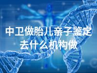 中卫做胎儿亲子鉴定去什么机构做
