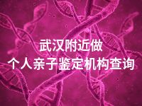 武汉附近做个人亲子鉴定机构查询