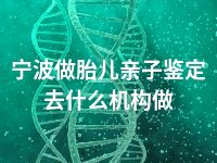 宁波做胎儿亲子鉴定去什么机构做