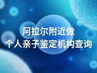 阿拉尔附近做个人亲子鉴定机构查询