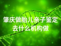 肇庆做胎儿亲子鉴定去什么机构做