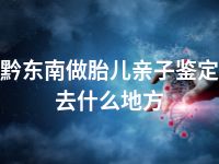 黔东南做胎儿亲子鉴定去什么地方