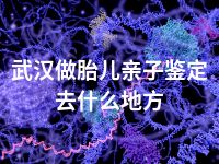 武汉做胎儿亲子鉴定去什么地方