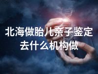 北海做胎儿亲子鉴定去什么机构做