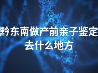 黔东南做产前亲子鉴定去什么地方