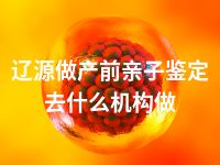辽源做产前亲子鉴定去什么机构做