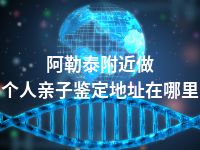 阿勒泰附近做个人亲子鉴定地址在哪里