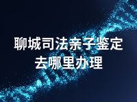 聊城司法亲子鉴定去哪里办理