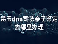 昆玉dna司法亲子鉴定去哪里办理