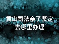黄山司法亲子鉴定去哪里办理