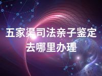 五家渠司法亲子鉴定去哪里办理