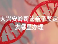 大兴安岭司法亲子鉴定去哪里办理