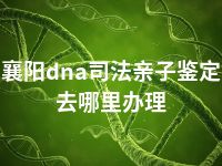襄阳dna司法亲子鉴定去哪里办理