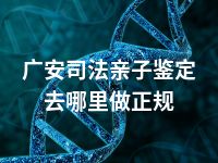 广安司法亲子鉴定去哪里做正规