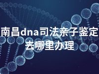 南昌dna司法亲子鉴定去哪里办理