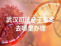 武汉司法亲子鉴定去哪里办理
