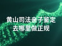 黄山司法亲子鉴定去哪里做正规