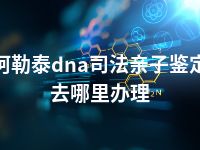 阿勒泰dna司法亲子鉴定去哪里办理