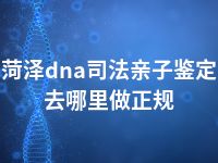 菏泽dna司法亲子鉴定去哪里做正规