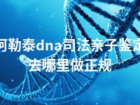 阿勒泰dna司法亲子鉴定去哪里做正规