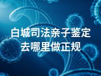 白城司法亲子鉴定去哪里做正规