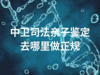 中卫司法亲子鉴定去哪里做正规