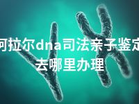 阿拉尔dna司法亲子鉴定去哪里办理