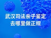 武汉司法亲子鉴定去哪里做正规