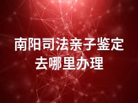 南阳司法亲子鉴定去哪里办理