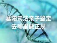 襄阳司法亲子鉴定去哪里做正规