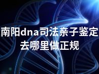 南阳dna司法亲子鉴定去哪里做正规