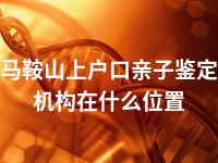 马鞍山上户口亲子鉴定机构在什么位置