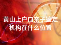 黄山上户口亲子鉴定机构在什么位置