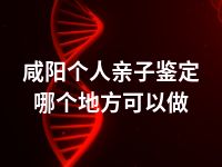 咸阳个人亲子鉴定哪个地方可以做