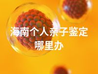 海南个人亲子鉴定哪里办