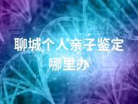 聊城个人亲子鉴定哪里办