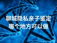 聊城隐私亲子鉴定哪个地方可以做