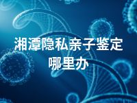 湘潭隐私亲子鉴定哪里办