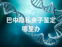 巴中隐私亲子鉴定哪里办