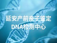 延安产前亲子鉴定DNA检测中心